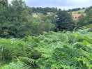 View from the hill