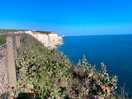Coastal walk