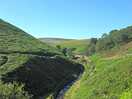 Walk to three shears head