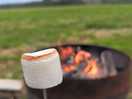 Camp fire
