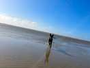 Beautiful country park and beach close by