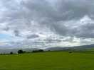 The view