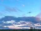 Pieceful evenings