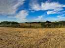 Panoramic over the camping field