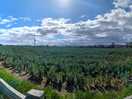 Panoramic view from our pod