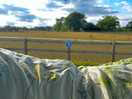 View from our camper