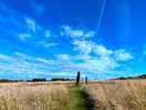 The gurdy stone