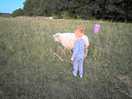 We was able to touch the animals roaming around free