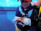 Lyme regis aquarium