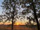 Sunset from sunnyside