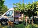 Parked by vines as we arrived early.