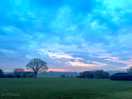Sunrise towards the tea hut