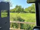 The view from our campervan