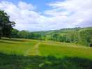 Nearby footpath.