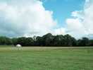 The open field
