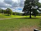 Horse field
