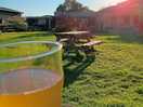 Cider tasting and live music