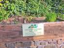 Herb garden