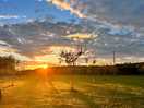 Zonsondergang vanaf camping plek