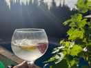 Bar y piscina con personal agradable.