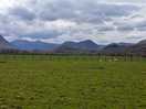 View from just outside the campsite