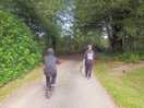 Walks