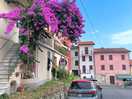 Castelnuovo magra