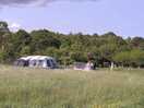 Our pitch