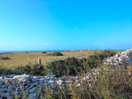 Nice view to wake up to august bh 2024