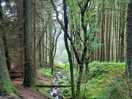 Nearby walk