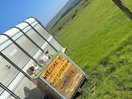 Shower trailer
