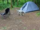 One of the woodland pitches