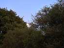 Trees surround most of the site