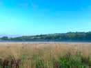 End marsh