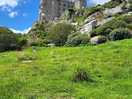 St michaels mount