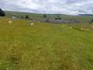 Lovely walks on the doorstep