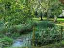 View of duck pond in grounds
