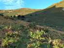 Walk from the site.