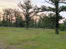 Site grounds