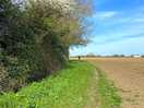 Another walk in the other direction