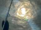 The sun
