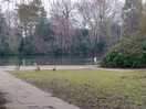 Lakeside walk