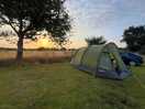 Our pitch