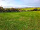 Plenty of greenery to see here