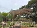 Wildlife park