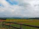 Beautiful views