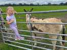 Kids love donkeys