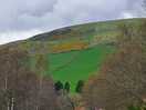 Around glenlivet.