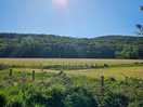 Views of creetown
