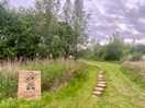 The goblin toe bridge!